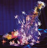 Mini-Lampe klar 2,5V 0,25W      2006-050 