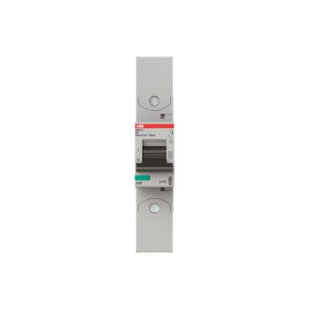 ABB Hochl.-Sicher.-auto.      S801S-B6-R 