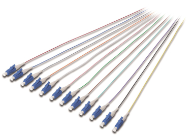 Assmann Durchgefärbte LC     DK-29332-02 