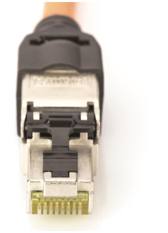 Assmann Geschirmter RJ45        DN-93631 