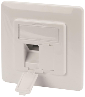 ASSM Leerdose f.Keystone Module DN-93831 