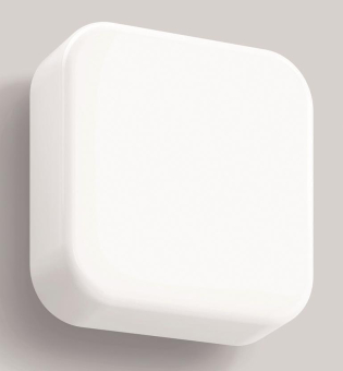 Bega Decken-u.Wandleuchte        24520K4 