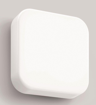 Bega Decken-u.Wandleuchte        24521K3 