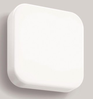 Bega Decken-u.Wandleuchte        24522K4 