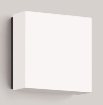 Bega Lichtbaustein               24655K3 