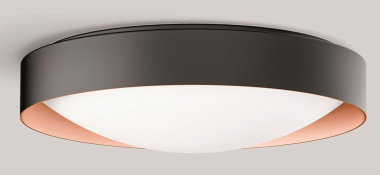 BEGA Deckenleuchte             51050.6K3 