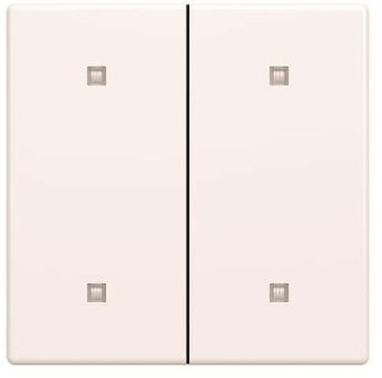 BJ Wippe 2-fach Elek.taster   2570-20-84 