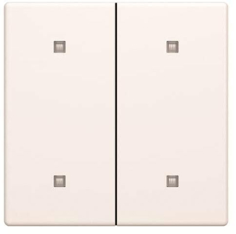 BJ Wippe 2-fach Elek.taster  2570-20-884 