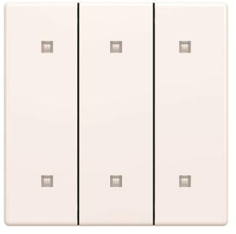 BJ Wippe 3-fach Elek.taster   2570-30-84 