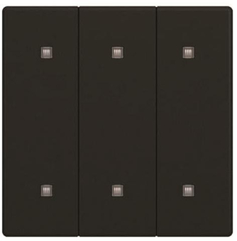 BJ Wippe 3-fach Elek.taster  2570-30-885 