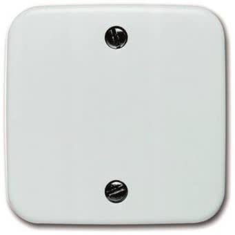 BJ Zentralscheibe alpinweiß     1796-214 