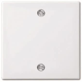 BJ Zentralscheibe Zugschalter   1796-914 