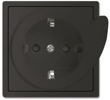 BJ Busch-Servicesteckdose  20 EUCBDR-885 