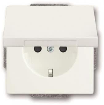 BJ SCHUKO Steckdosen-Einsatz 20 EUKB-884 