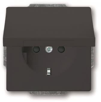 BJ SCHUKO Steckdosen-Einsatz 20 EUKBR-81 