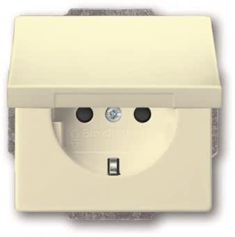 BJ SCHUKO Steckdosen-Einsatz 20 EUKBR-82 