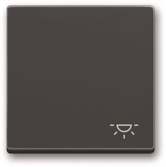 BJ Wippe m.Aufdruck anth      2520 LI-81 