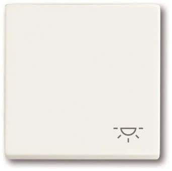 BJ Wippe Licht               2520 LI-884 