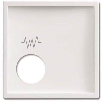 BJ Zentralscheibe          2548-020 F-84 