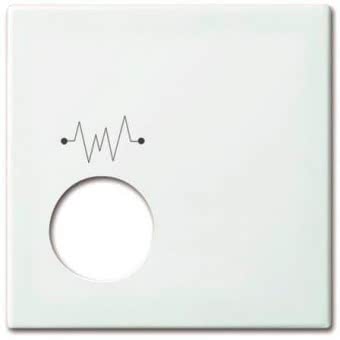 BJ Zentralscheibe         2548-020 F-914 