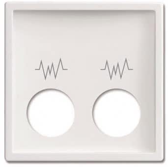 BJ Zentralscheibe          2548-021 G-84 