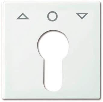 BJ Zentralscheibe        2557 PZ-914-101 