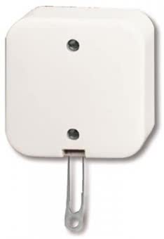 BJ Zugschalter m.Zugschnur    2610/6 APW 