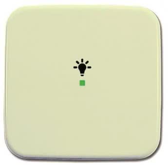 BJ Wippe 1-fach,Symbol Licht 6231-10-212 