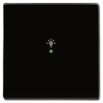 BJ Wippe 1-fach,Symbol Licht  6231-10-81 