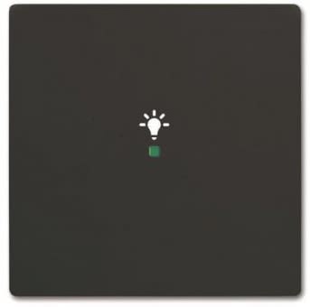 BJ Wippe 1f Licht schwarz    6231-10-885 