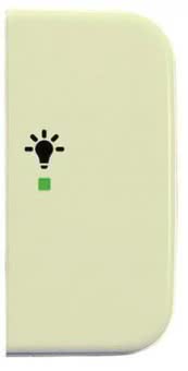 BJ Wippe 2-fach Symbol Licht 6231-22-212 