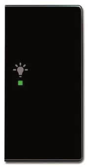 BJ Wippe rechts 2-fach,Symbol 6231-22-81 