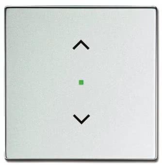 BJ Wippe 1fach Symbol         6232-10-83 