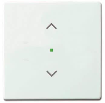 BJ Wippe 1-fach Symbol        6232-10-84 