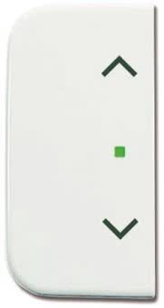 BJ Wippe 2-fach Symbol       6232-20-214 