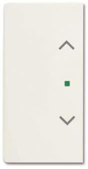 BJ Wippe 2f Jalousie matt    6232-20-884 