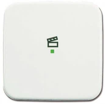 BJ Wippe 1-fach,Symbol Licht 6233-10-214 