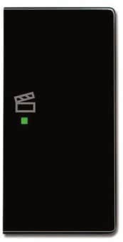 BJ Wippe rechts 2-fach,Symbol 6233-22-81 