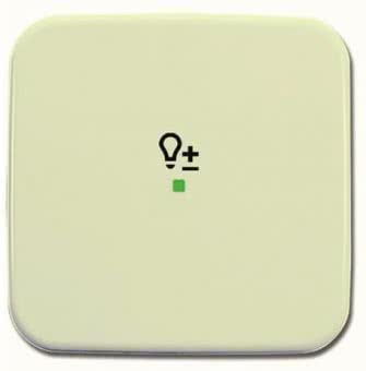 BJ Wippe 1-fach Symbol Licht 6234-10-212 