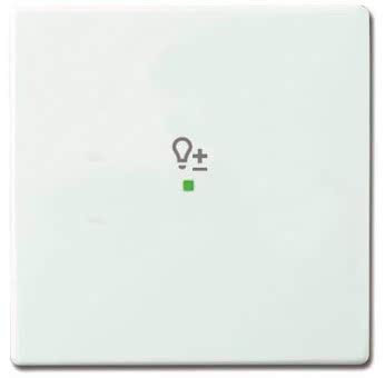 BJ Wippe 1-fach Symbol Dimmer 6234-10-84 