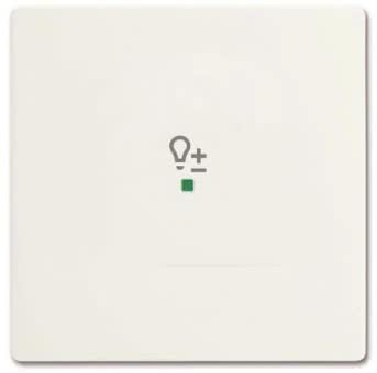 BJ Wippe 1f Dimmer matt      6234-10-884 