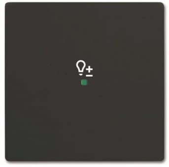 BJ Wippe 1f Dimmer schwarz   6234-10-885 