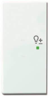 BJ Wippe links 2-fach Symbol  6234-21-84 