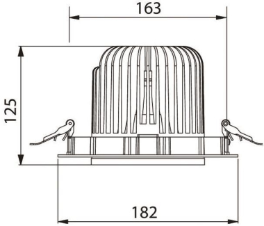 Brumberg                        12592173 
