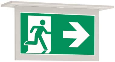 CEAG 10824 1-8h/D CGLine+    40071353267 