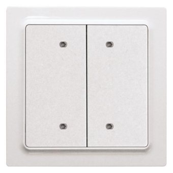 Eltako Bus-Taster in           B4T55E-wg 