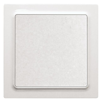 Eltako Funkschalter batterie-u  FS55E-wg 