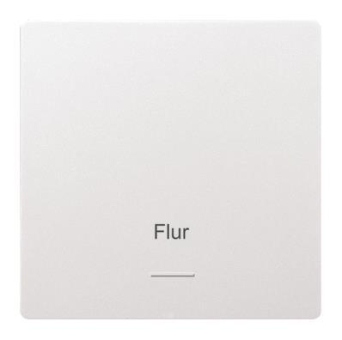 Eltako Wippe f.Funktaster im W-F1T55E-wg 