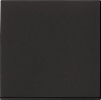 GIRA 0296005 Wippe System 55 