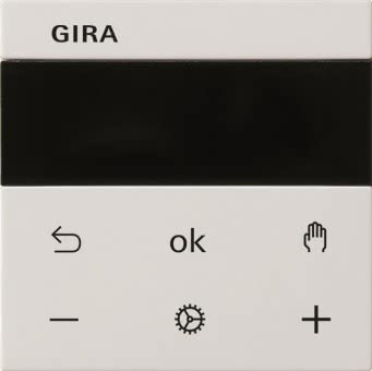 GIRA S3000 RTR Display System 55  539303 